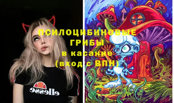 MESCALINE Вяземский